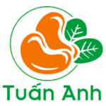 hatdieutuananh_logo